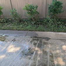 Transforming-Outdoor-Spaces-The-Facility-Relaunch-Project 1