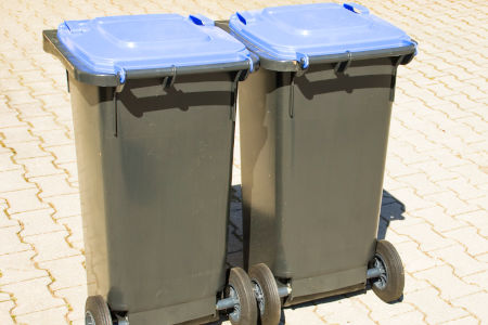 Trash Bin Cleaning